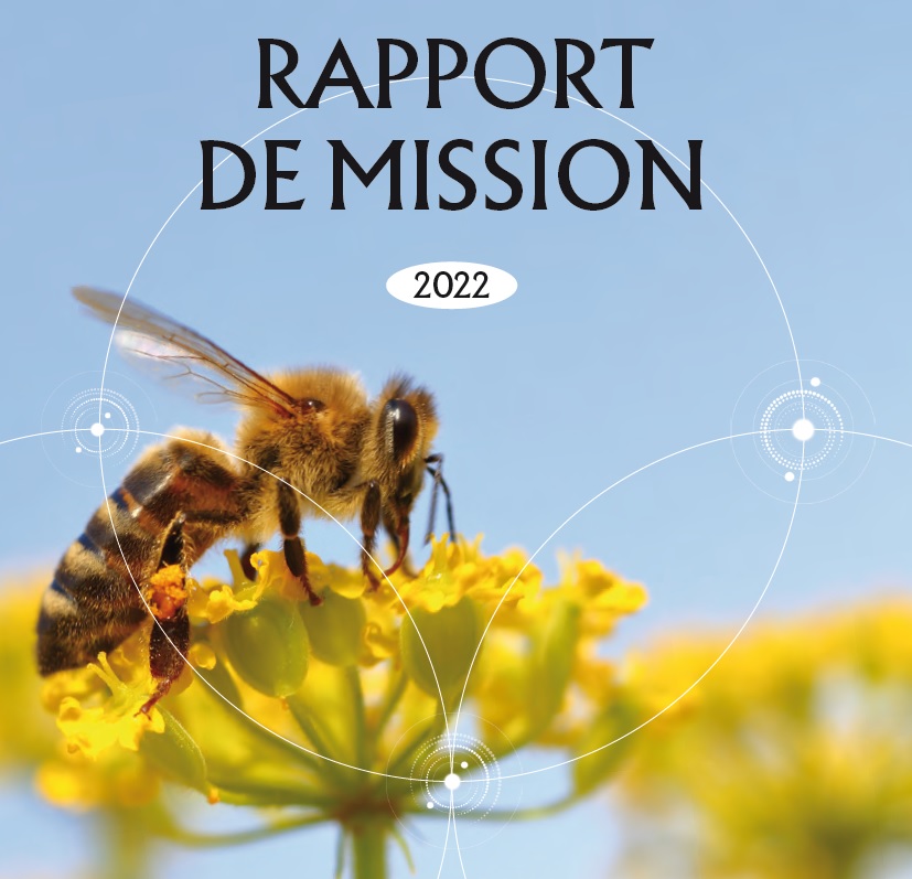 PATYKA - RAPPORT DE MISSION 2022